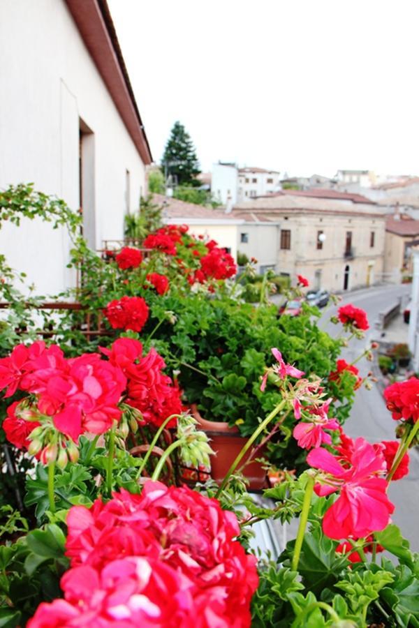 B&B Da Peppe โรตอนดา ภายนอก รูปภาพ